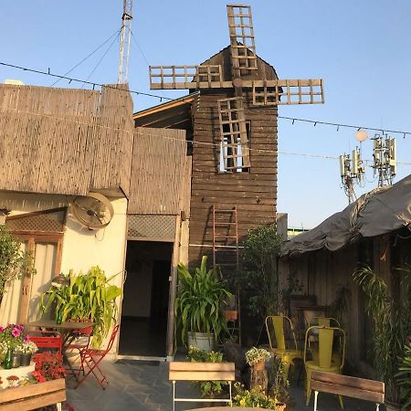 The Lazy Patio Homestay New Delhi Exterior photo