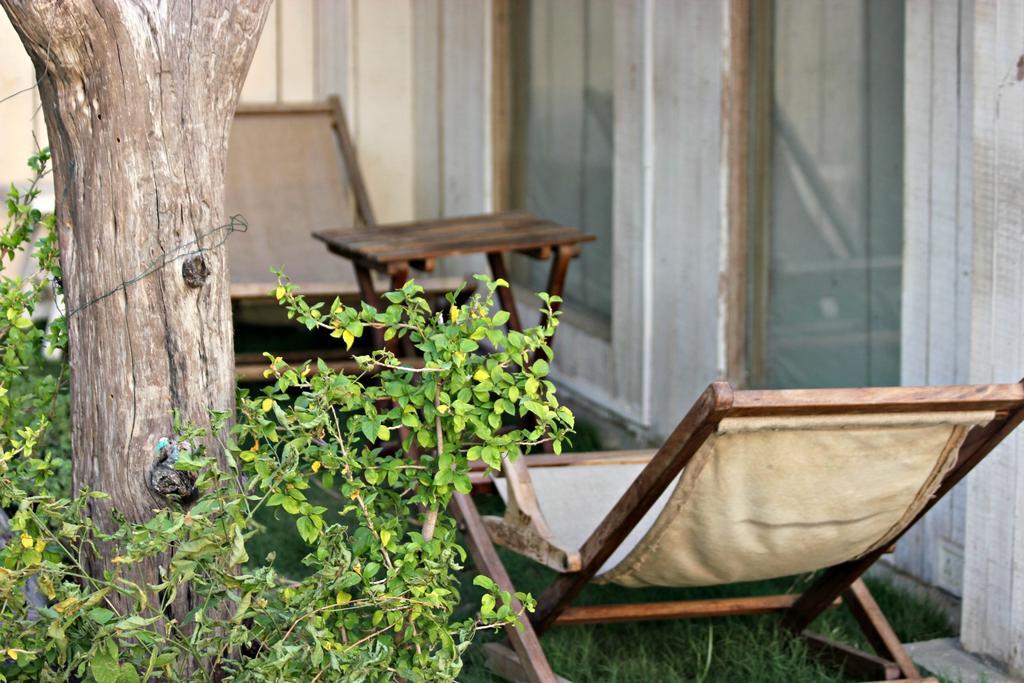 The Lazy Patio Homestay New Delhi Exterior photo