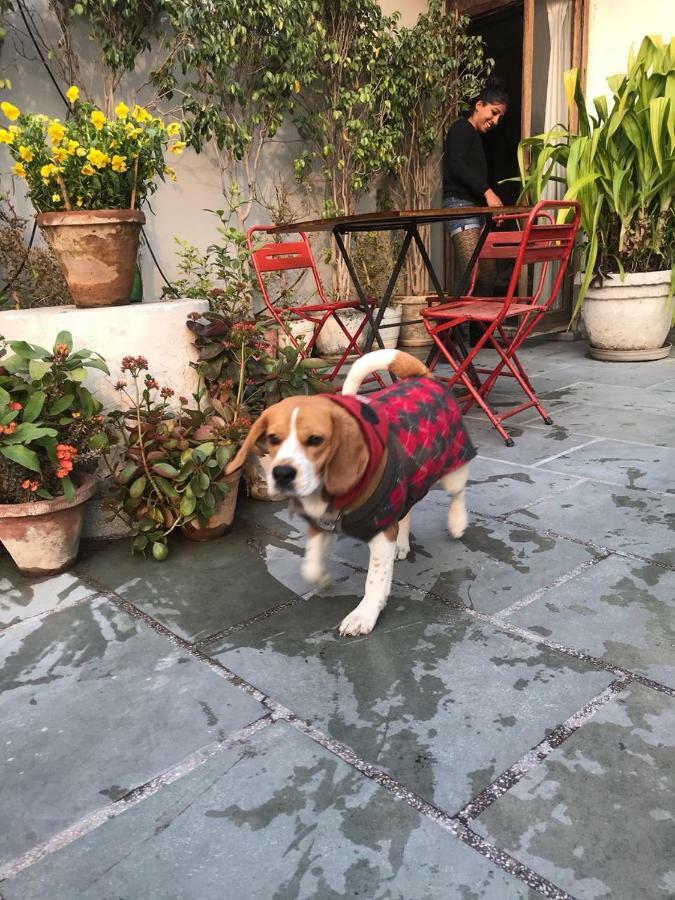 The Lazy Patio Homestay New Delhi Exterior photo