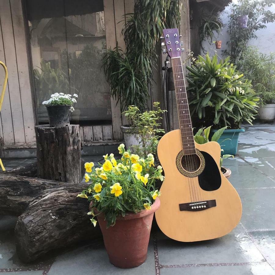 The Lazy Patio Homestay New Delhi Exterior photo