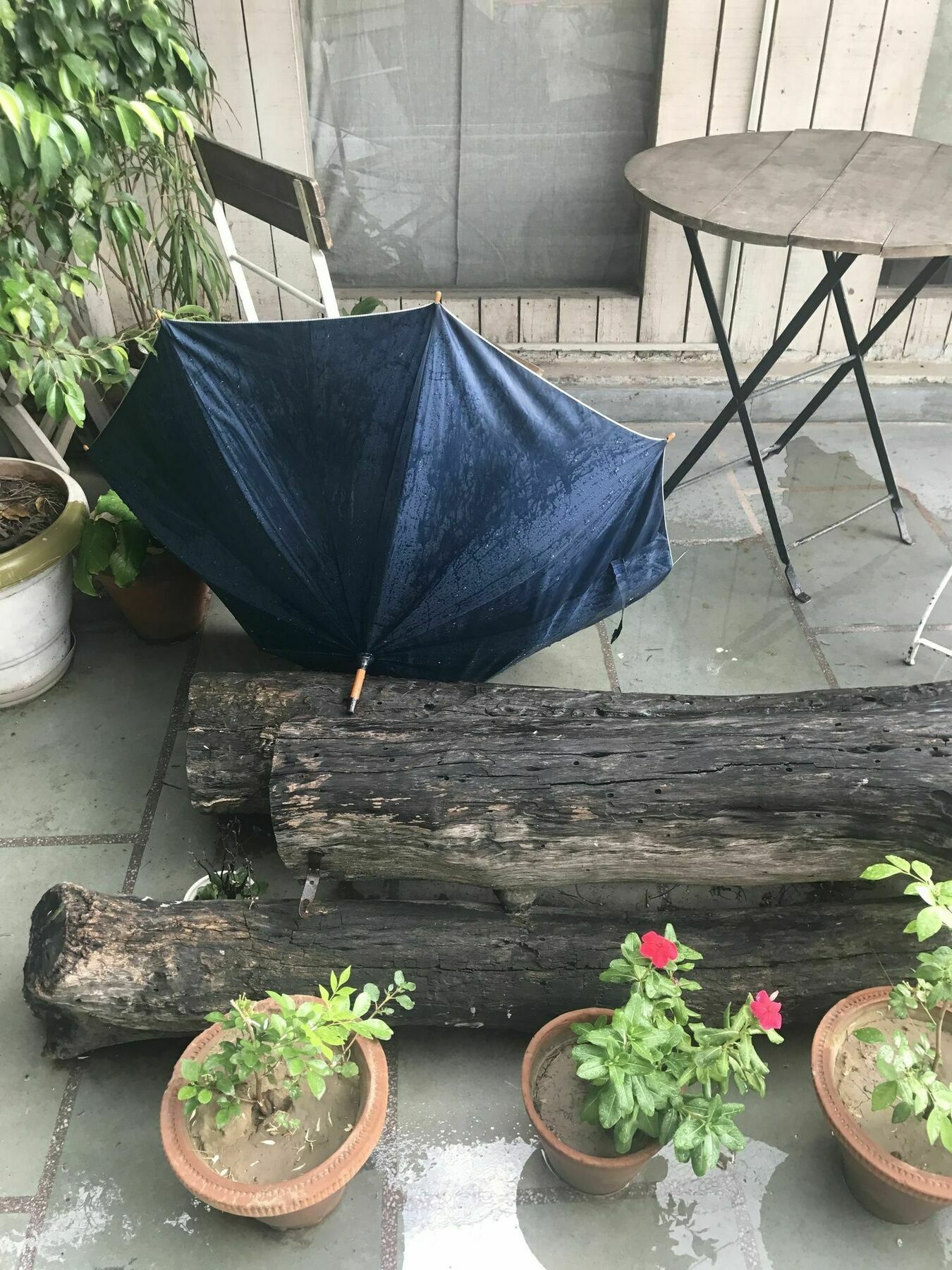 The Lazy Patio Homestay New Delhi Exterior photo