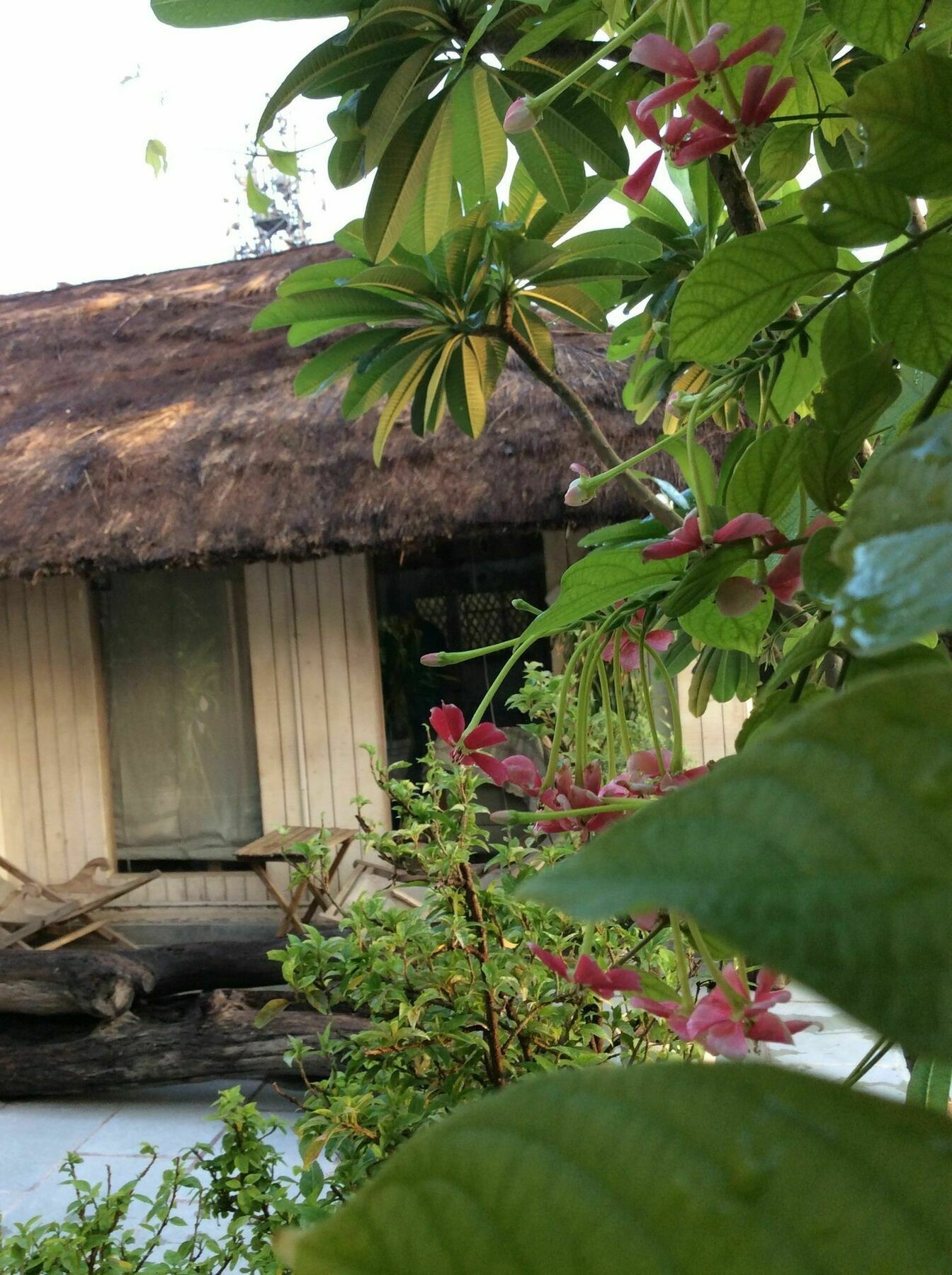 The Lazy Patio Homestay New Delhi Exterior photo