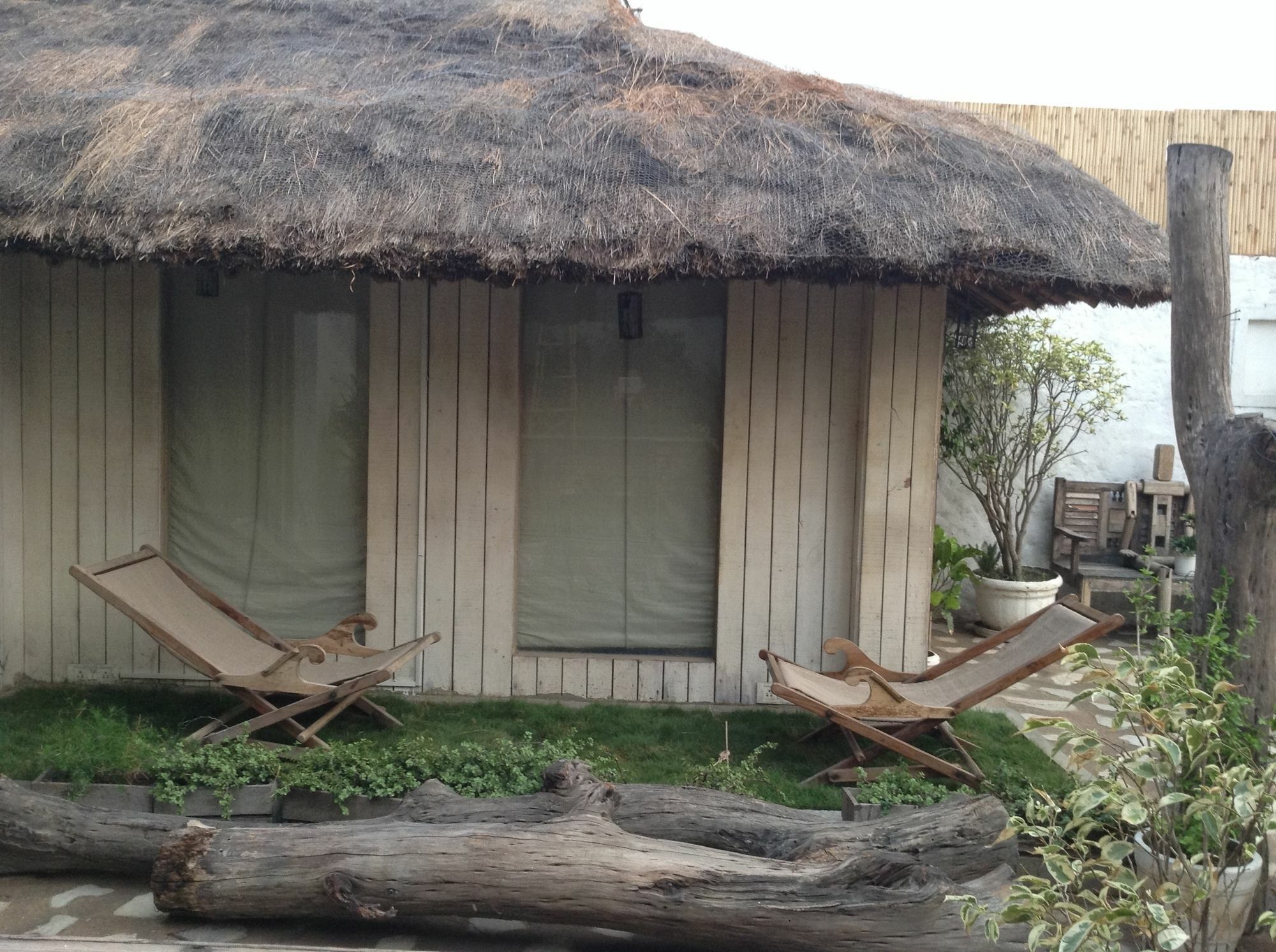 The Lazy Patio Homestay New Delhi Exterior photo